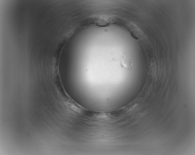 X0000070230318200606091724