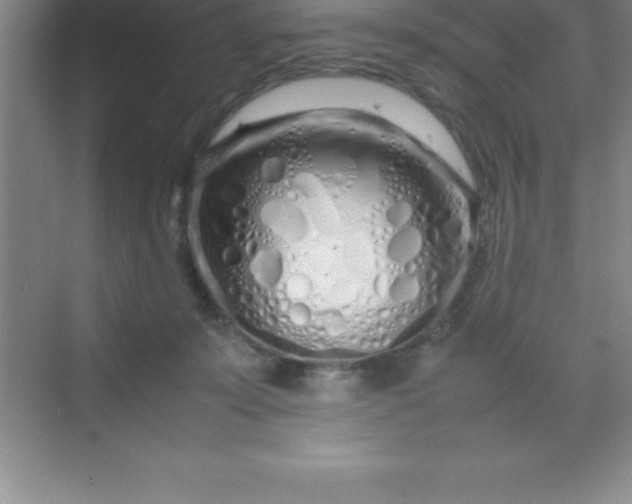 X0000070230319200606091724