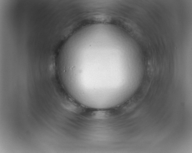 X0000070230320200606091724