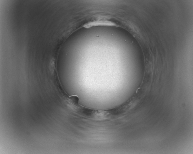 X0000070230321200606091724