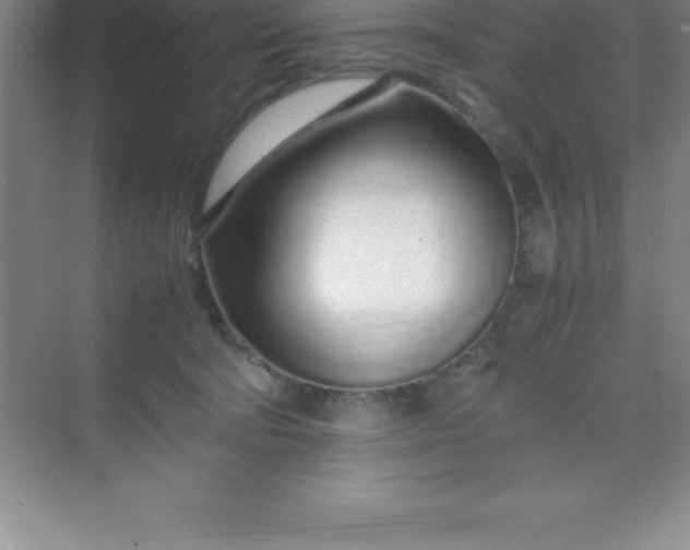 X0000070230322200606091724