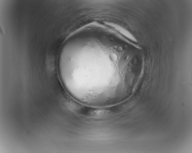 X0000070230323200606091724