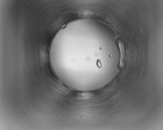 X0000070230324200606091724