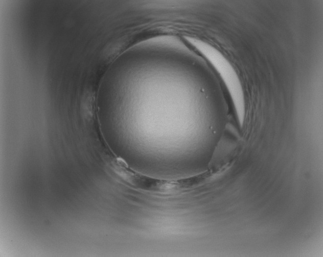 X0000070230325200606091724