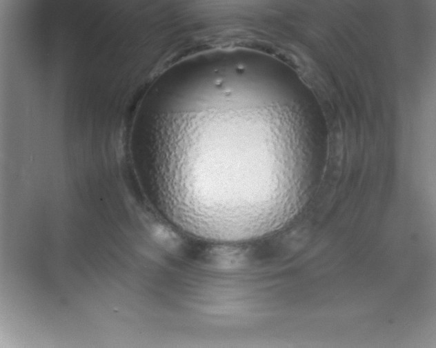 X0000070230326200606091724