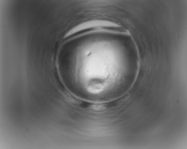 X0000070230327200606091724