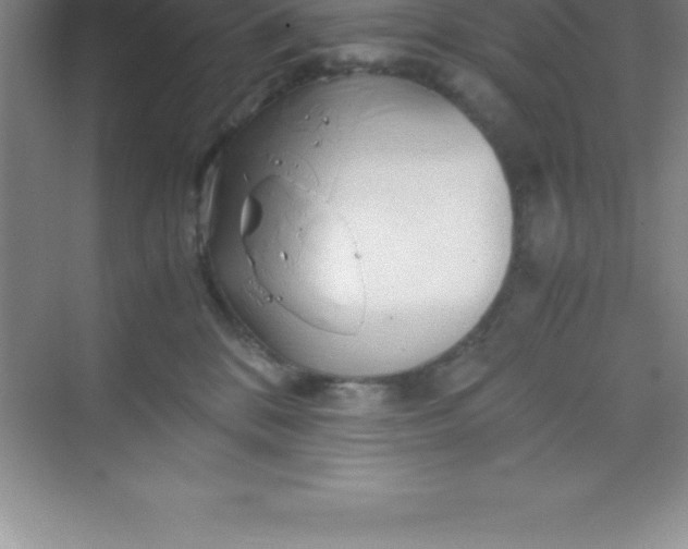 X0000070230328200606091723