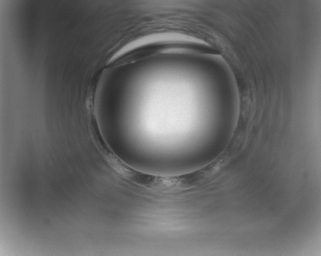 X0000070230329200606091723