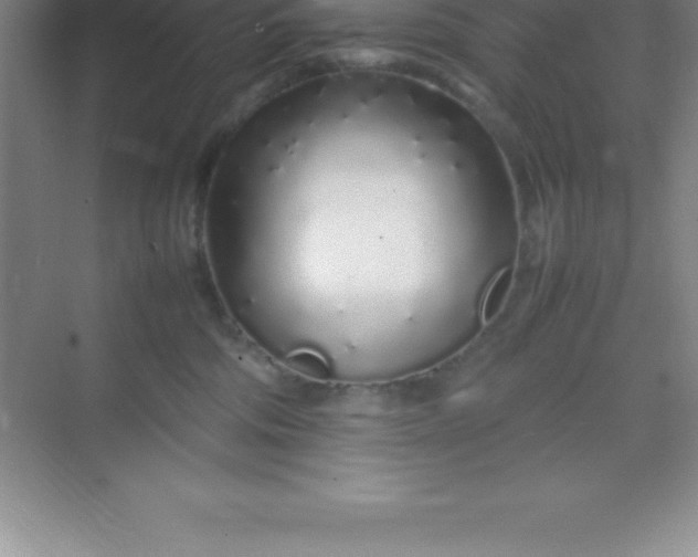 X0000070230330200606091723