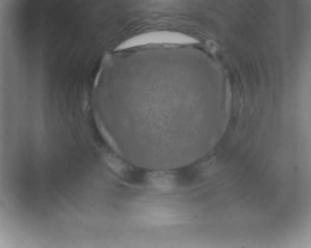 X0000070230331200606091723