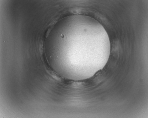 X0000070230332200606091723