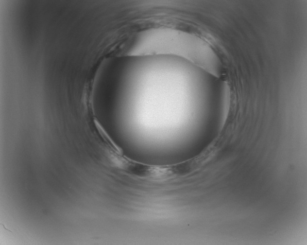 X0000070230333200606091723