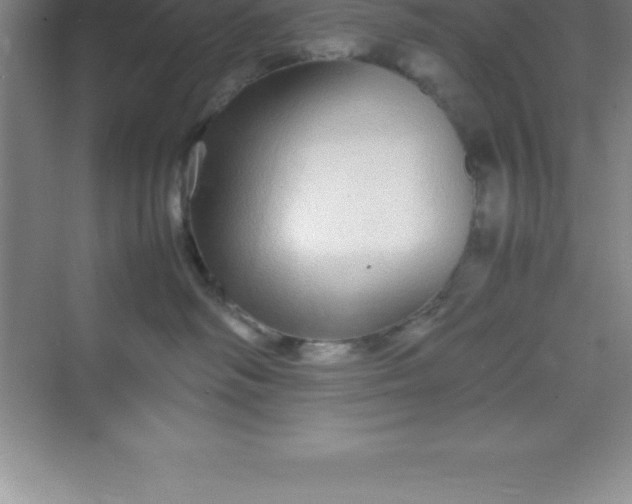 X0000070230334200606091723