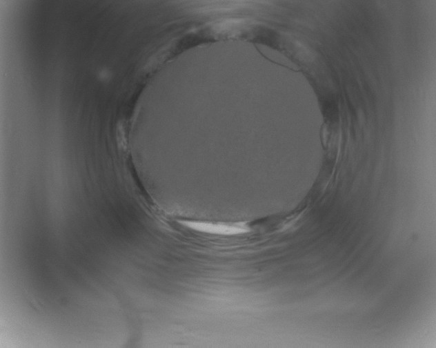 X0000070230335200606091723