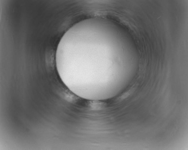 X0000070230336200606091723