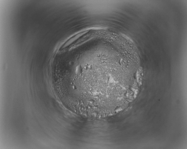 X0000070230337200606091723