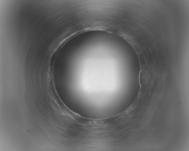 X0000070230338200606091723