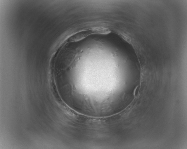 X0000070230339200606091723