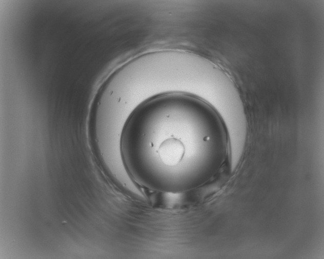 X0000070230340200606091723