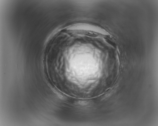 X0000070230341200606091723