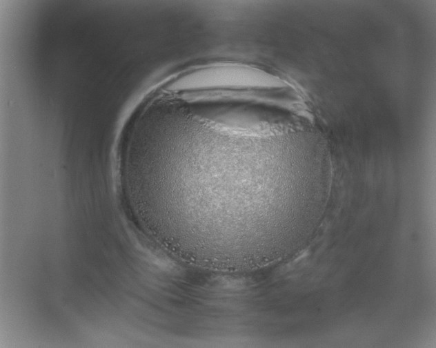 X0000070230343200606091723