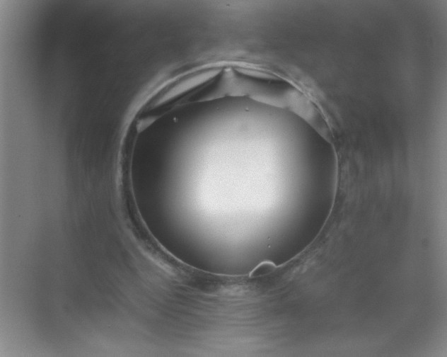 X0000070230344200606091723