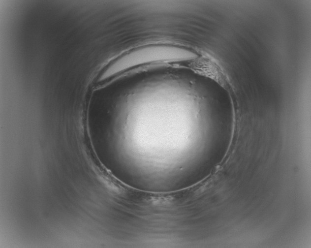 X0000070230345200606091723