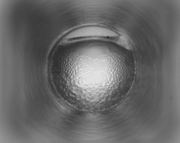 X0000070230346200606091723