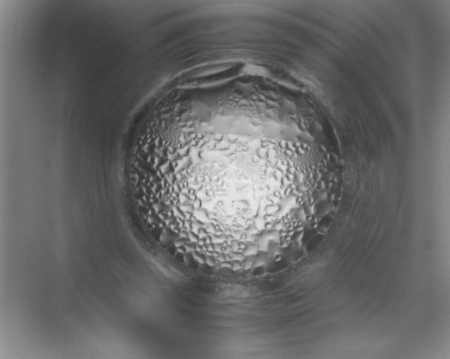 X0000070230347200606091723