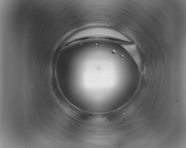 X0000070230348200606091723