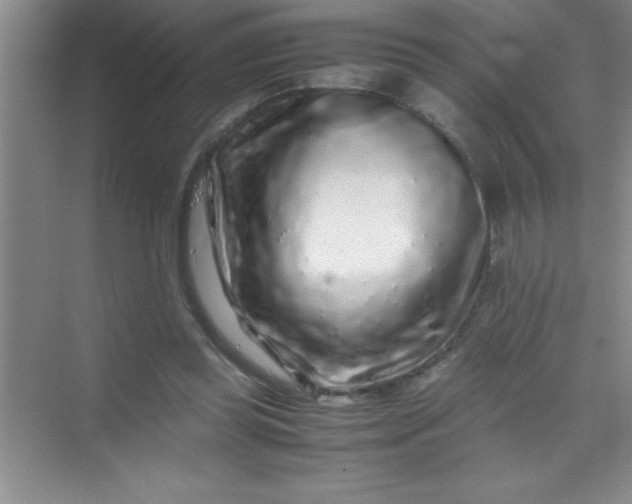 X0000070230349200606091723