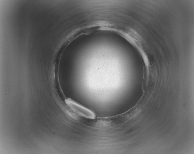 X0000070230350200606091723