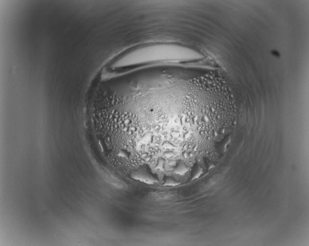 X0000070230351200606091723