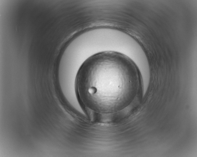 X0000070230352200606091723