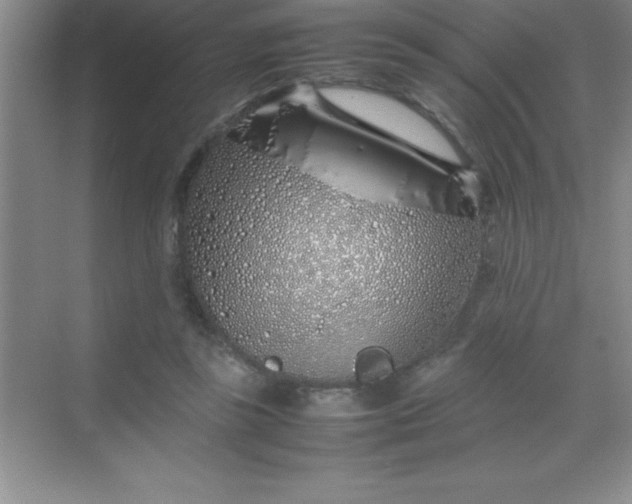 X0000070230355200606091723