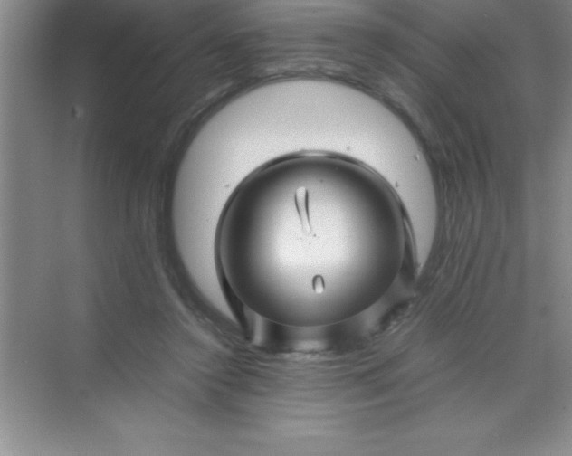 X0000070230356200606091723