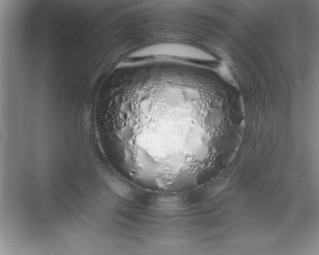 X0000070230357200606091723