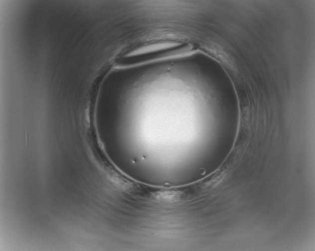 X0000070230358200606091723