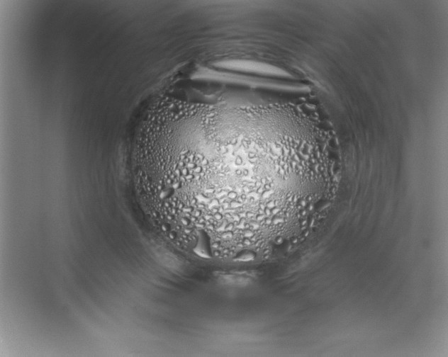 X0000070230359200606091723