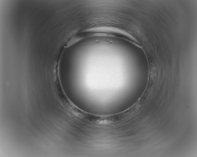 X0000070230360200606091723