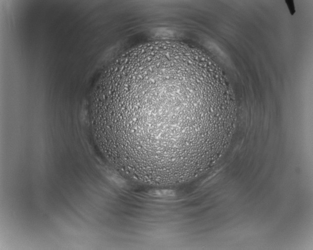 X0000070230361200606091723