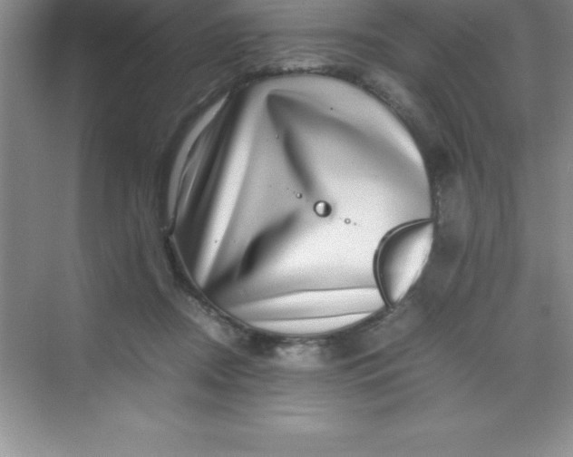 X0000070230362200606091723