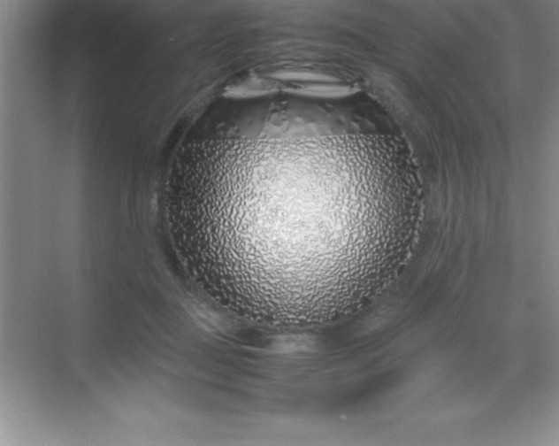 X0000070230363200606091723