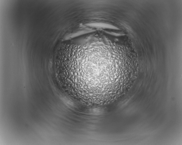 X0000070230365200606091723