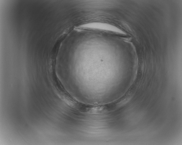 X0000070230366200606091723