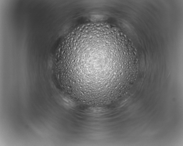 X0000070230367200606091723