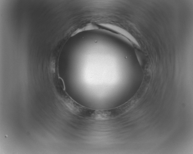 X0000070230368200606091723