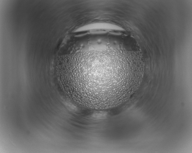 X0000070230369200606091723