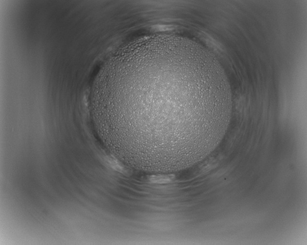 X0000070230373200606091723