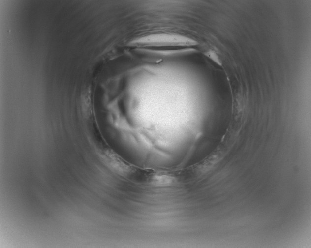 X0000070230376200606091723